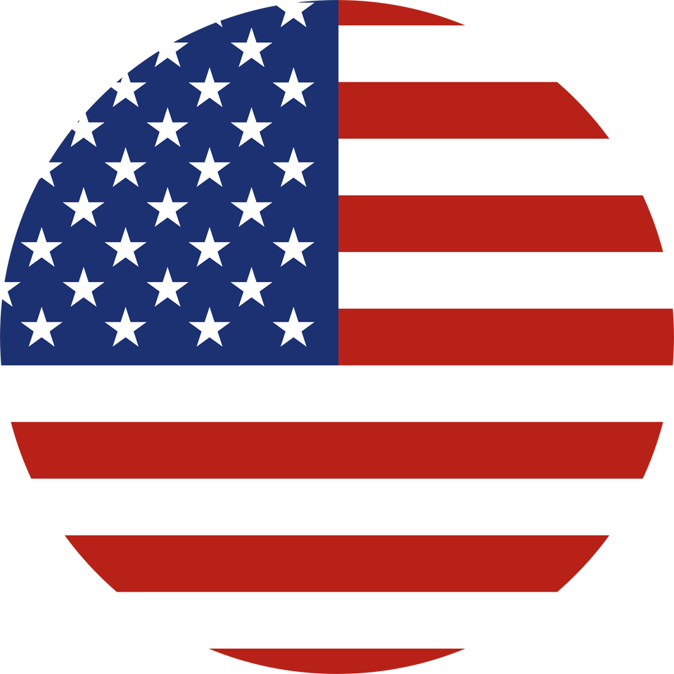 American Flag Icon